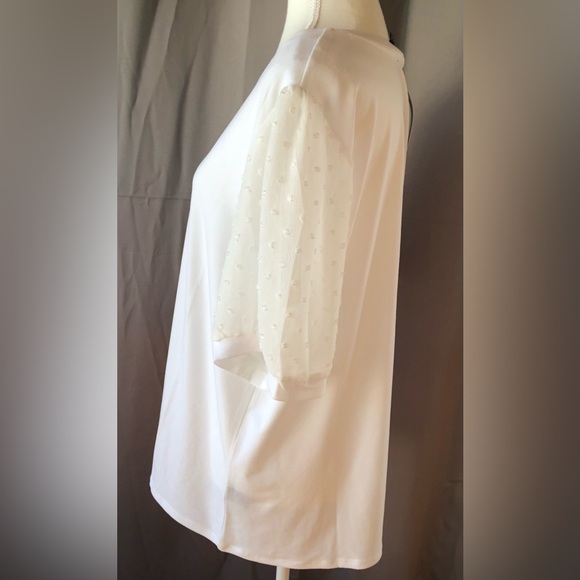 Premise Swiss Dot Puff Sleeve Top 🤍 - Picture 5 of 10